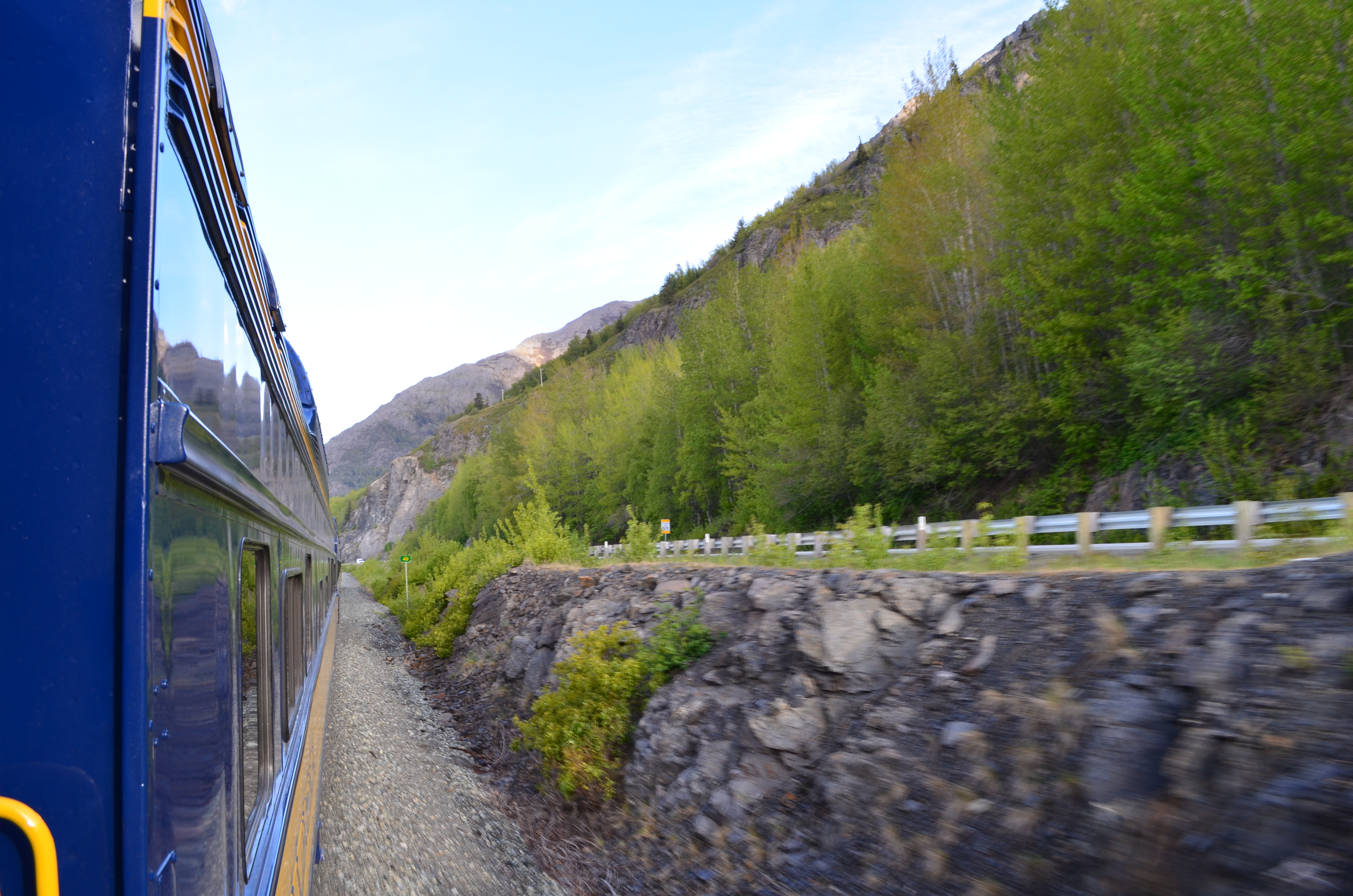 ./2017/08 - Alaska Cruise/05 - Train to Seward/DSC_0427.JPG